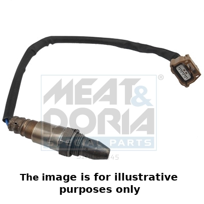 Oxygen Sensor
